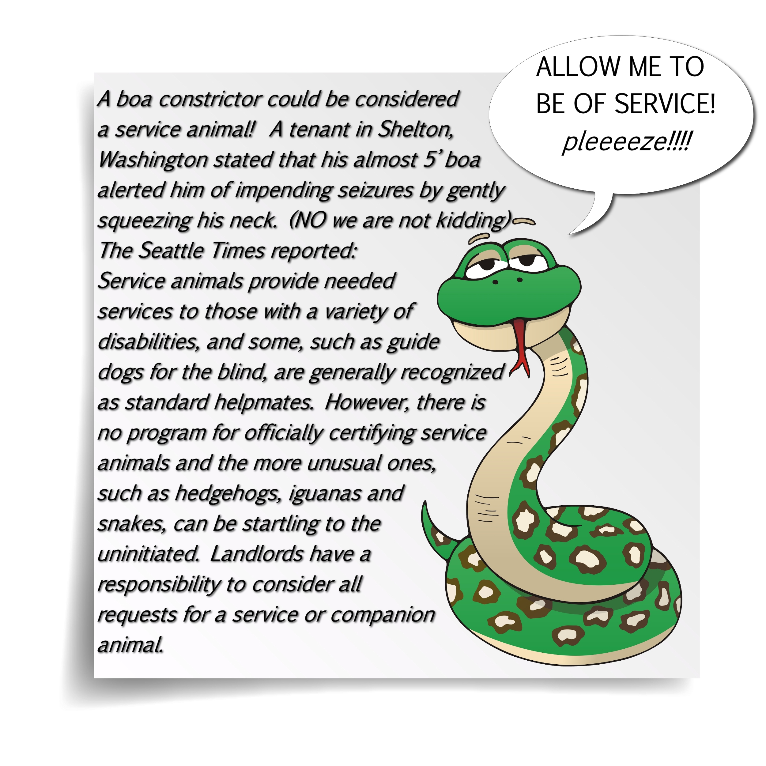 service snake notepad